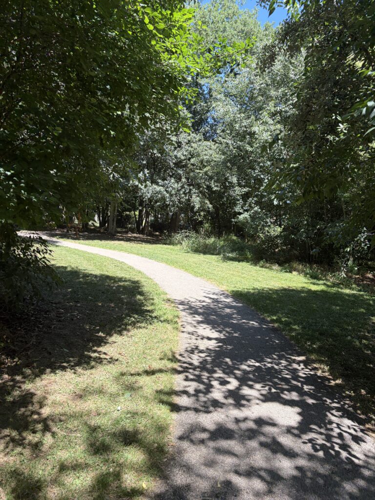 img 4601 img 4601